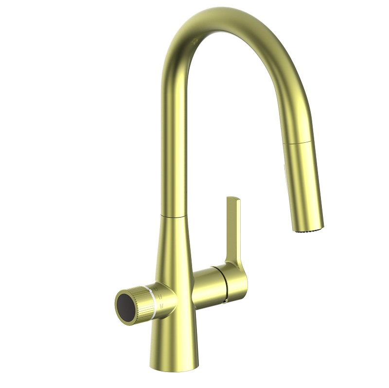 Brushed Gold 4N1 Faucet