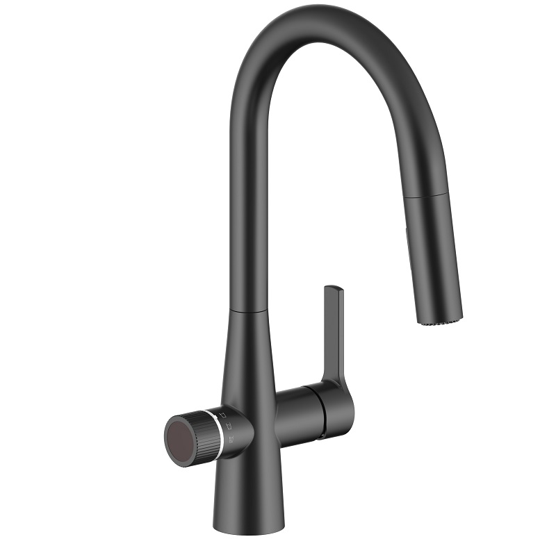 Matte Black 4N1 Faucet 